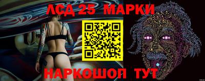 сатива Гатчина