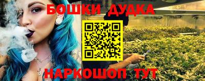 сатива Гатчина