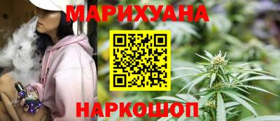 сатива Гатчина