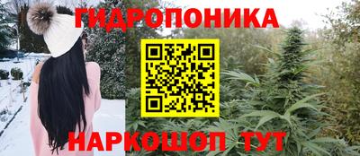 сатива Гатчина