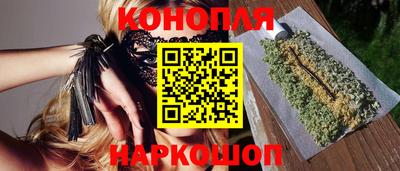 сатива Гатчина